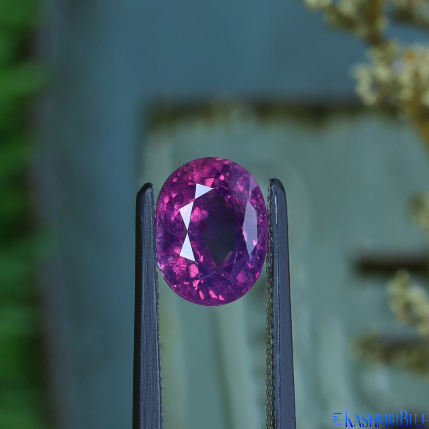 Fuschia Gem Color Kashmir Sapphire