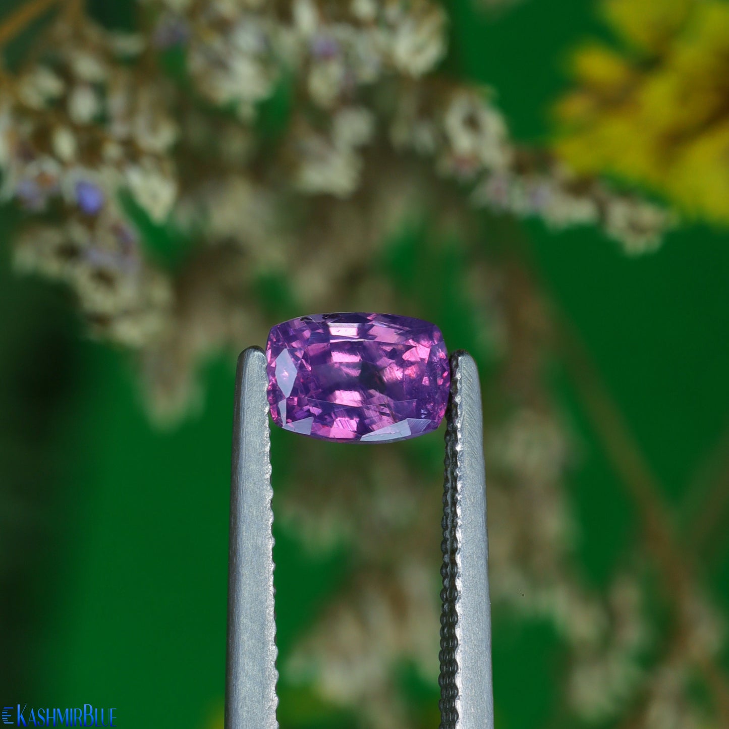 Batakundi Kashmir Purple Pink Sapphire