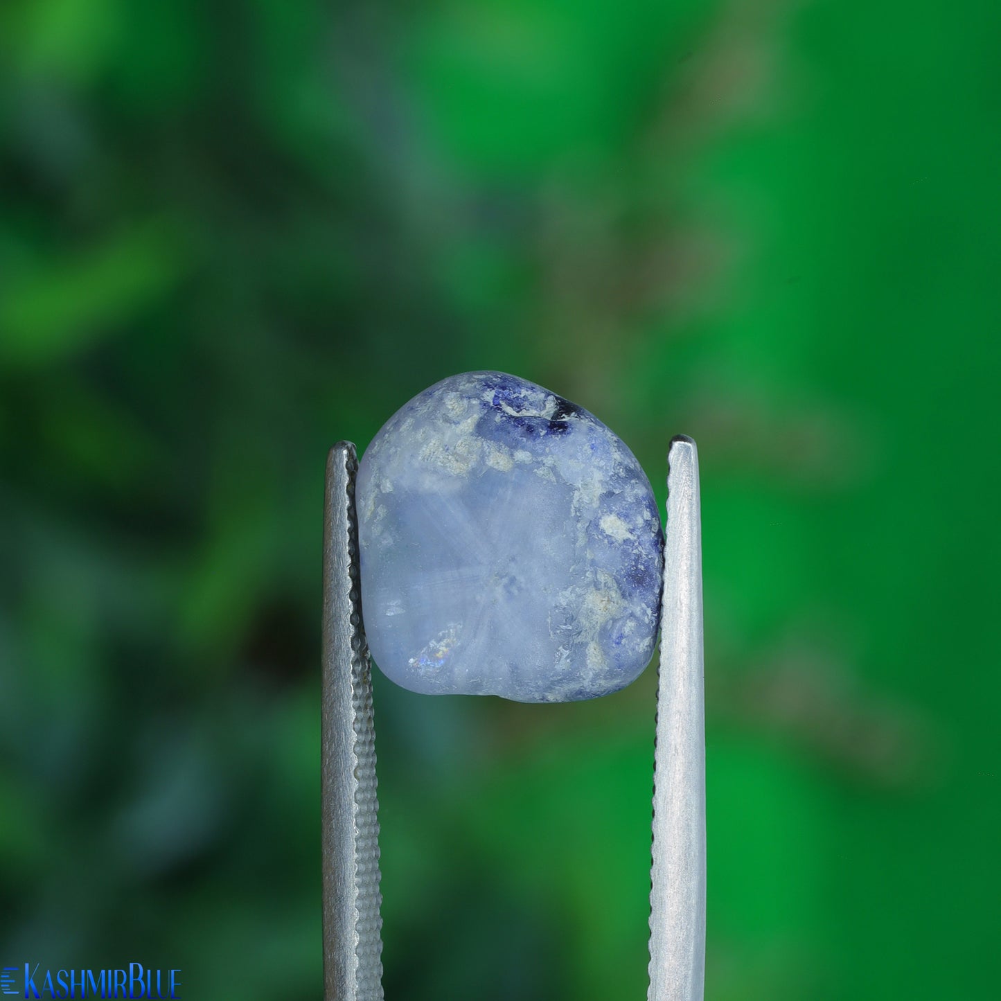 Kashmir Sapphire Rare Trapiche Rough Specimen
