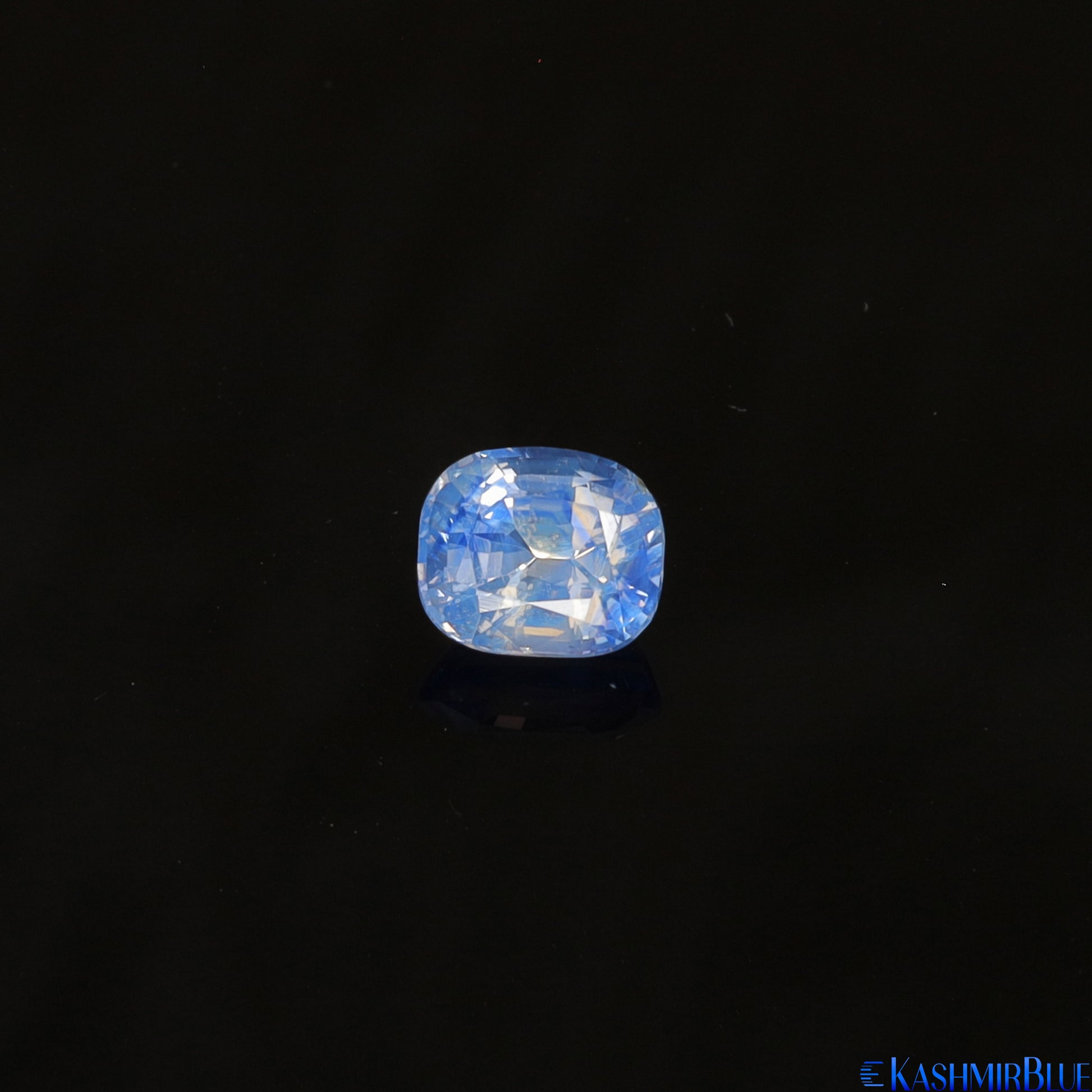 Velvet Sky Blue Kashmir