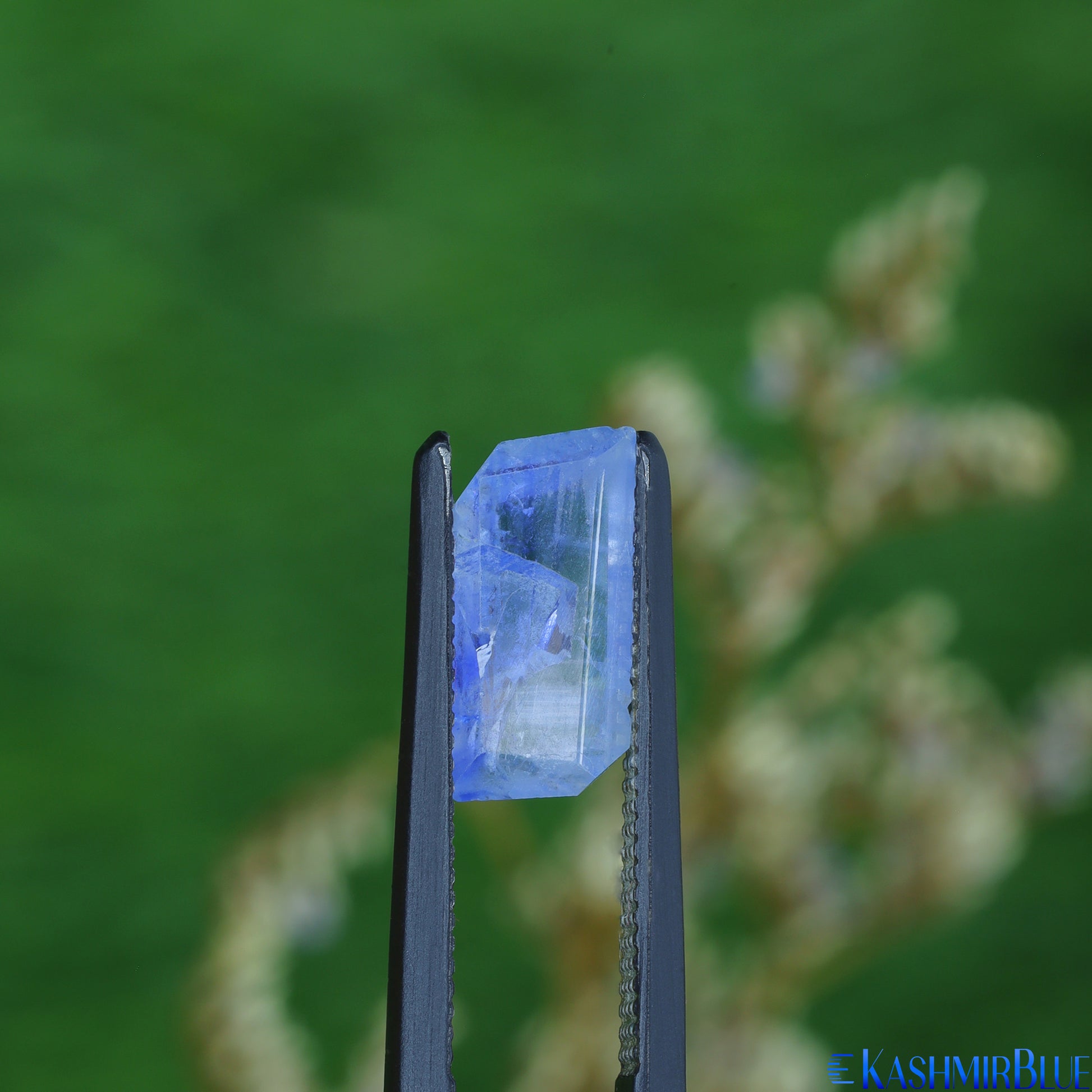 Fancy Polished Specimen 