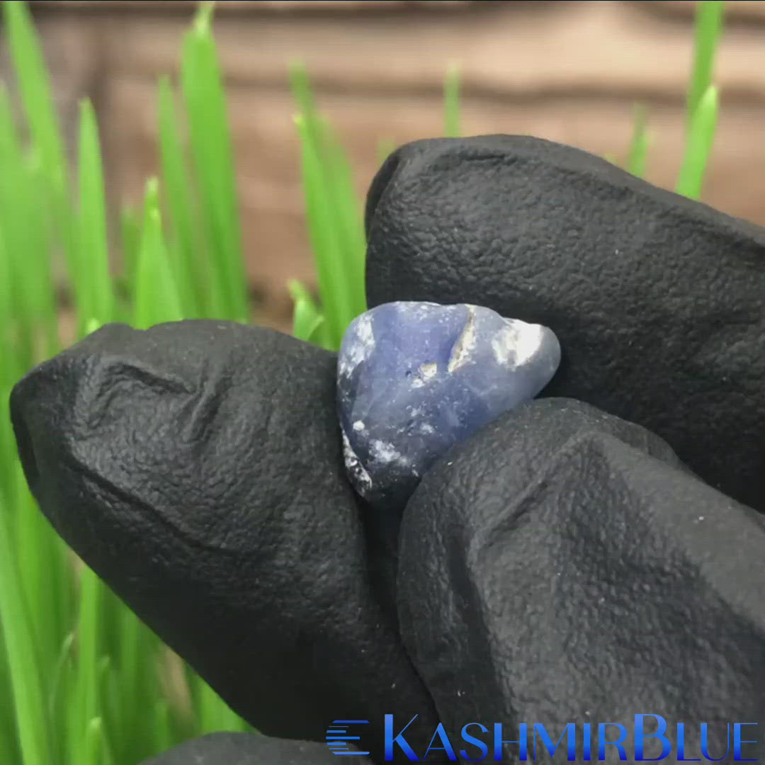 Kashmir Sapphire 8ct Specimen